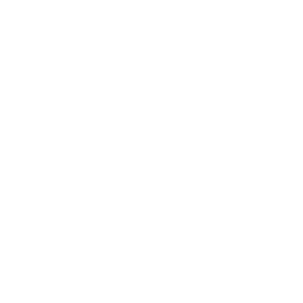 logo-jr-white